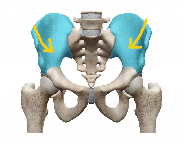 腸骨が歪みます