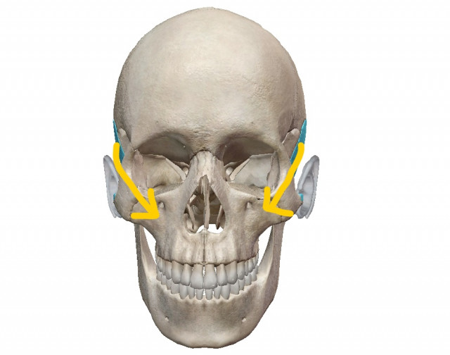 側頭骨が歪みます