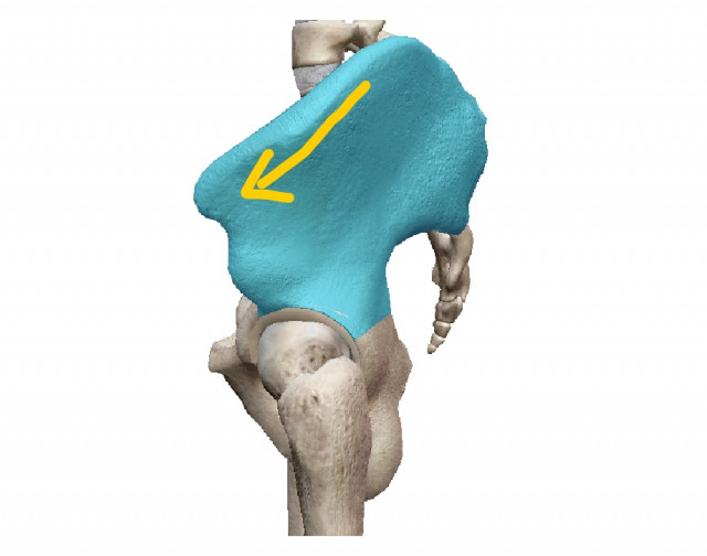 腸骨が歪みます