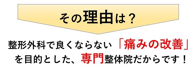 その理由は